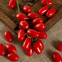 Семена томата Рубикон F1