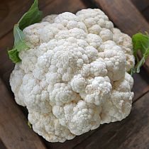 Семена цветной капусты  Андромеда F1