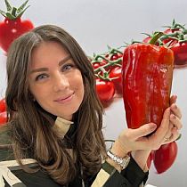 Семена перца сладкого Ариес F1