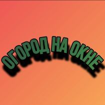 Наборы семян Огород на окне