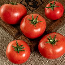 Семена томата Тирас F1