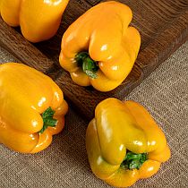 Семена перца сладкого Игало F1