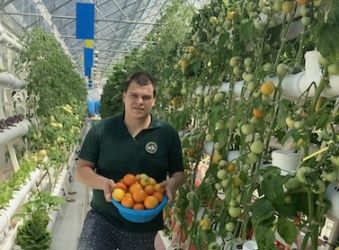 Проект номер шесть: томатные универсалы нового типа