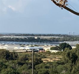 Предновогодние встречи под Ашкелоном - семинар в розовых тонах