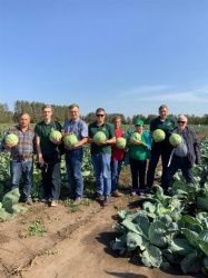 Капуста от "Семко" в Татарстане (30.08.2019-14.09.2019 г.)