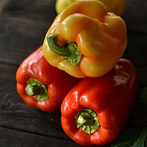 Семена перца сладкого Фиделио F1
