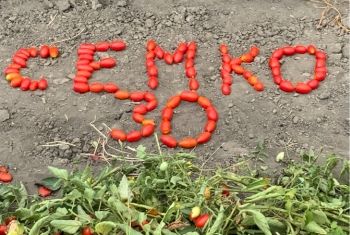 Сахара, сахара и почти Сахара̀ в степях Астрахани