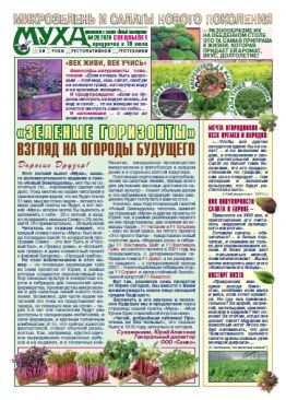 Газета Муха - внеочередной выпуск № 29 (2020)