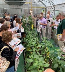 Крутые перцы в Белгороде!
