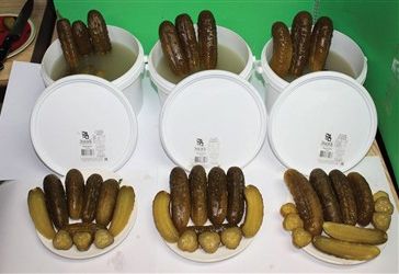 Всё о солёном огурце