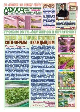Газета "Муха" - выпуск №31 (2022)