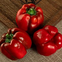 Семена перца сладкого Латинос F1