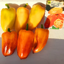 семена перца сладкого витамин f1