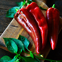 семена перца сладкого орьен