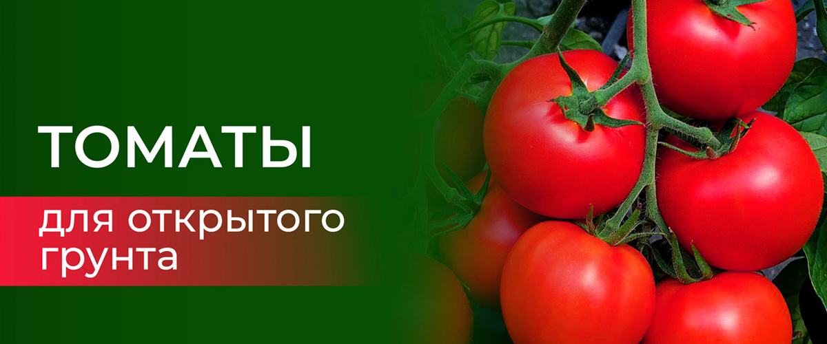 Томаты для открытого грунта