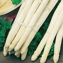 семена спаржи Аржентельская