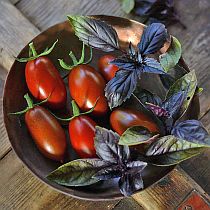 Семена томата Мар Саба F1