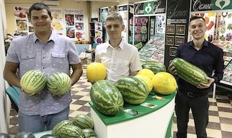 Проект номер пять: это просто бахча