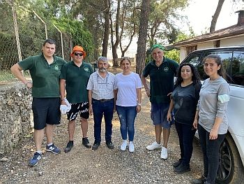 Мерхаба F1 – по-турецки: «Здравствуйте!»