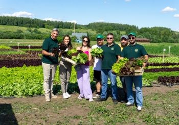 Салаты под Казанью