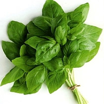 семена базилика Элидия