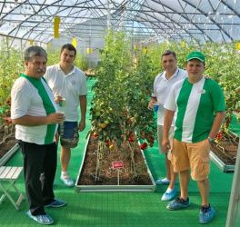 Результаты испытаний в рамках отдельно взятой белгородской высокотехнологичной теплицы (март-сентябрь 2018 года) 