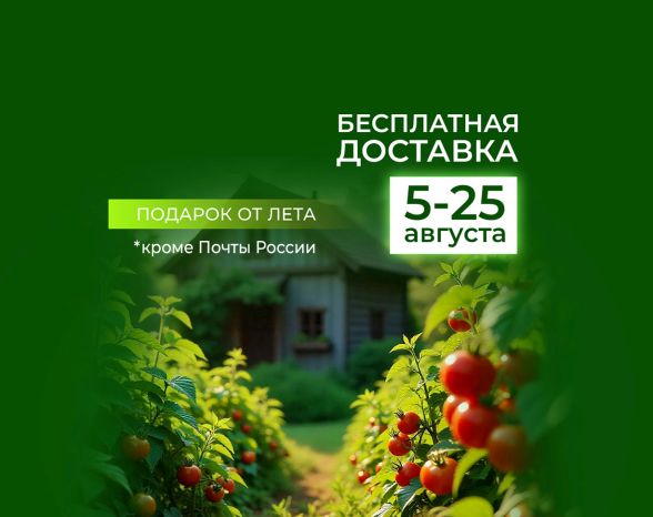 besplatnaya-dostavka-avgust-2025.jpg